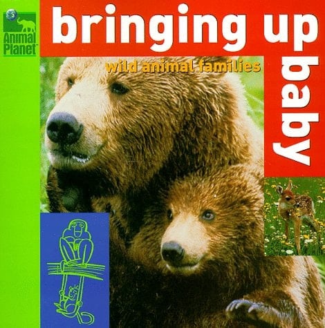 Bringing Up Baby Wild Animal Families