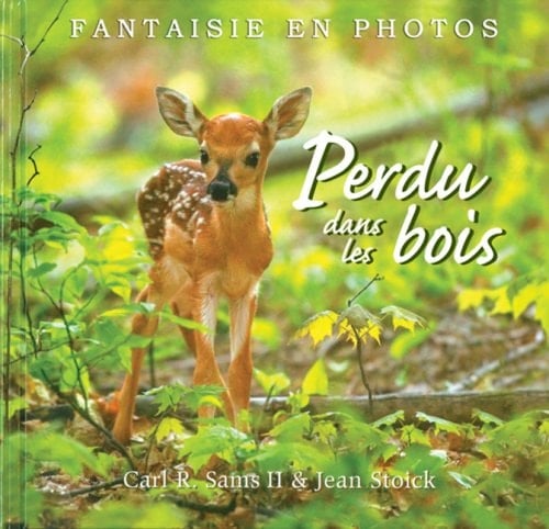 Perdu Dans Les Bois