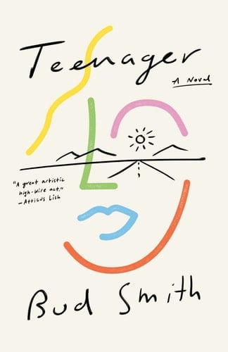 Teenager A Novel