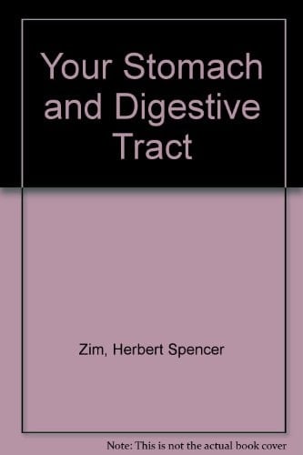 Your Stomach and Digestive Tract