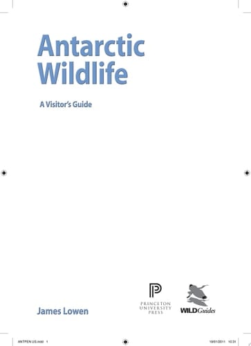 Antarctic Wildlife A Visitor's Guide
