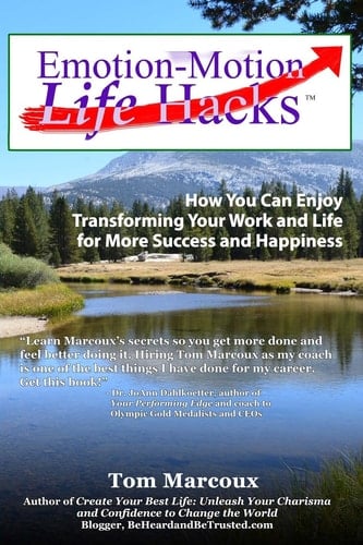 Emotion-Motion Life Hacks How You Can Enjoy Transforming Your Work and Life for More Success and Happiness