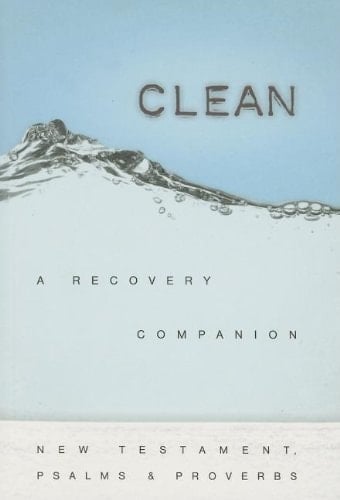 Clean-NCV A Recovery Companion