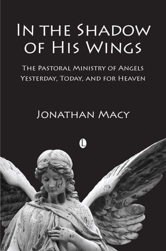 In the Shadow of His Wings The Pastoral Ministry of Angels, Yesterday, Today, and for Heaven