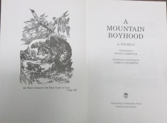 A Mountain Boyhood