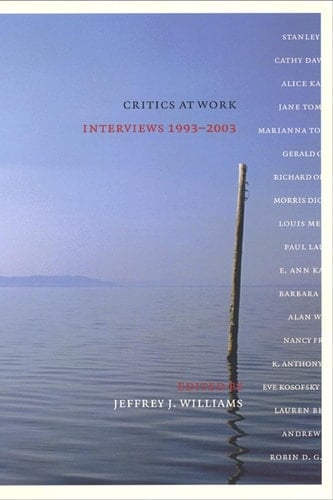 Critics at Work Interviews 1993-2003