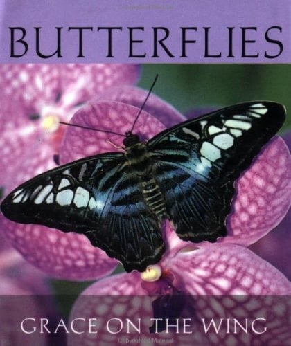 Butterflies Grace on the Wing