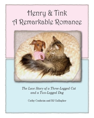 Henry and Tink A Remarkable Romance