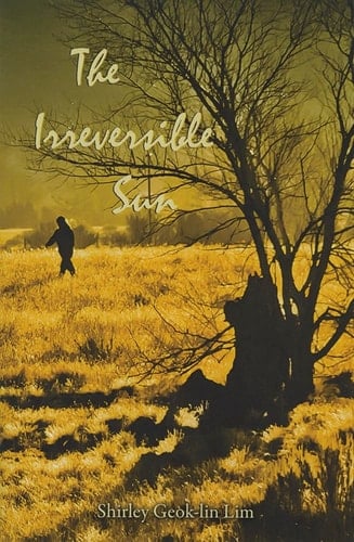 The Irreversible Sun