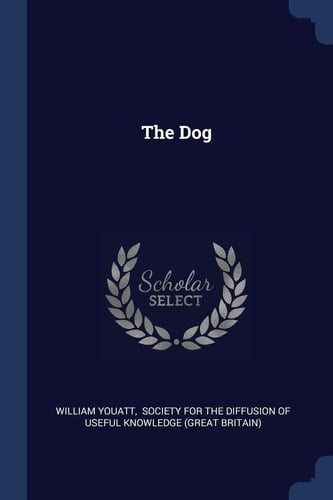 The Dog