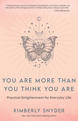 You Are More Than You Think You Are Practical Enlightenment for Everyday Life
