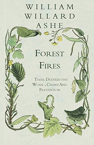 Forest Fires - Their Destructive Work, Causes and Prevention