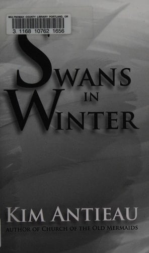 Swans in Winter