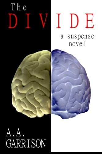 The Divide A Suspense Novel