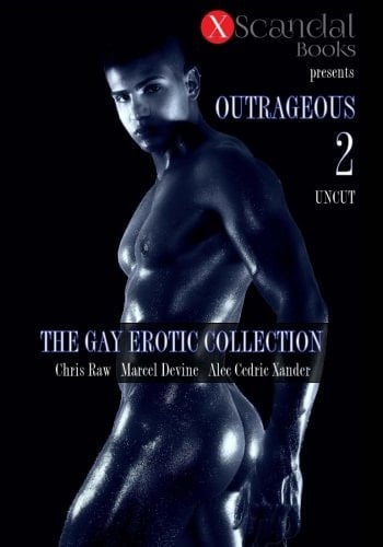 Outrageous 2 The Gay Erotic Collection