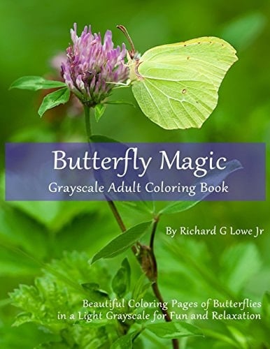Butterfly Magic Grayscale Adult Coloring Book Beautiful Coloring Pages of Butterflies in a Light Grayscale for Fun and Relaxation