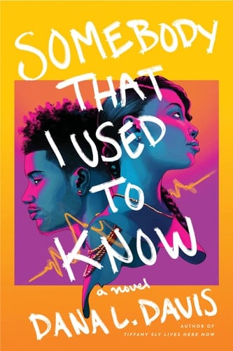 Somebody that I Used to Know A Novel