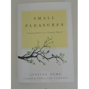 Small Pleasures Finding Grace in a Chaotic World