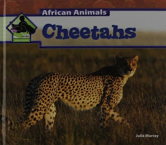 African Animals