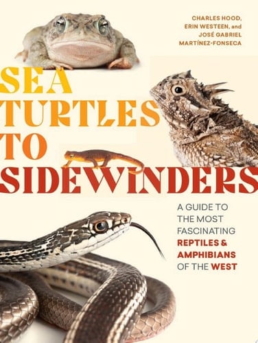 Sea Turtles to Sidewinders A Guide to the Most Fascinating Reptiles and Amphibians of the West