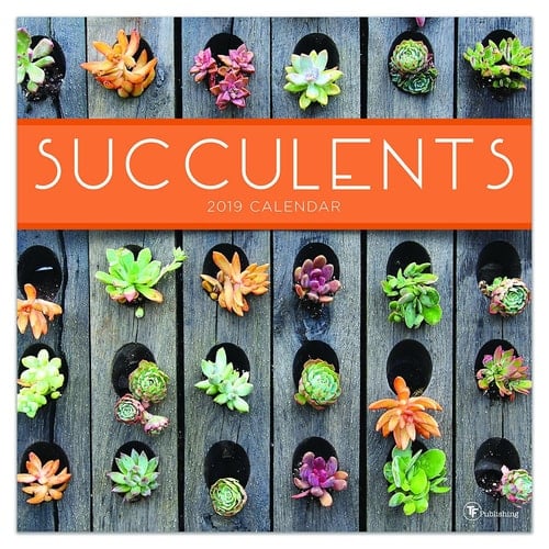 Suculentas 2019 calendario - 2019 Succulents Wall Calendar
