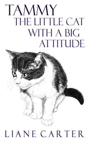 Tammy the Little Cat with a Big Attitude