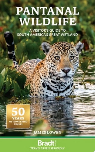 Pantanal Wildlife A Visitor’s Guide to South America’s Great Wetland
