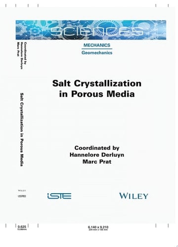 Salt Crystallization in Porous Media