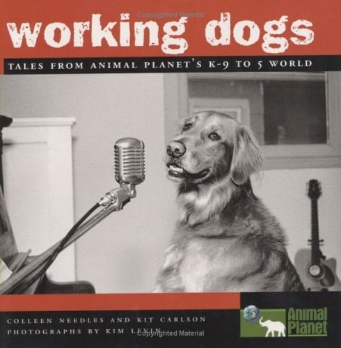 Working Dogs Tales from Animal Planet's K-9 to 5 World