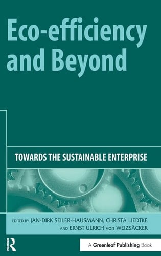 Eco-efficiency and Beyond Towards the Sustainable Enterprise