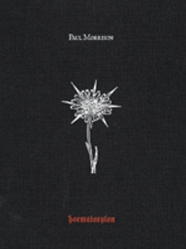 Haematoxylon