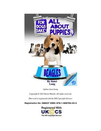 All About Beagle Puppies