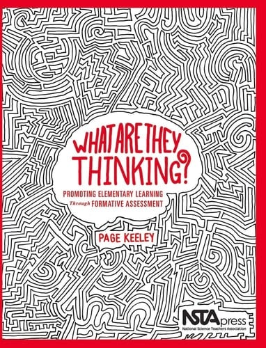 What are They Thinking? Promoting Elementary Learning Through Formative Assessment