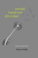 Small Hadron Divider Haiku and Related Works of David J Kelly