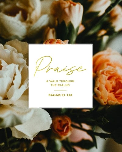 XXXX - a Study on Psalms (91-120)