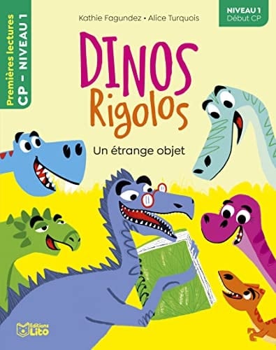 Un étrange objet Niveau 1 début CP