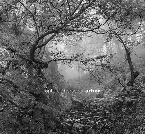 Arbor gestes de bois