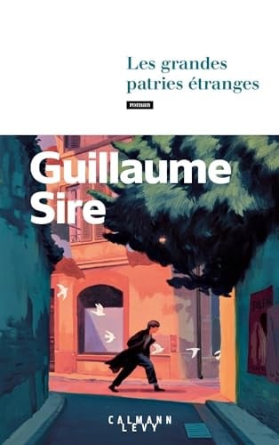 Les grandes patries étranges roman