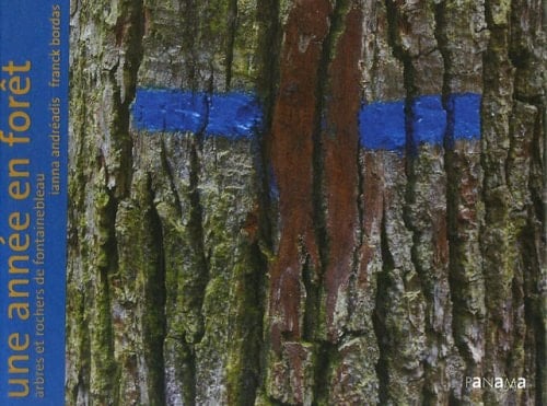 Une année en forêt arbres et rochers de Fontainebleau