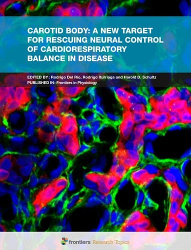 Carotid Body: A New Target for Rescuing Neural Control of Cardiorespiratory Balance in Disease