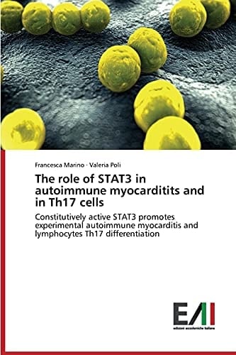 The role of STAT3 in autoimmune myocarditits and in Th17 cells: Constitutively active STAT3 promotes experimental autoimmune myocarditis and lymphocytes Th17 differentiation