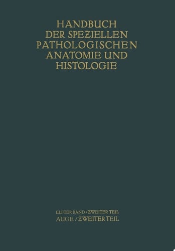 Auge Zweiter Teil