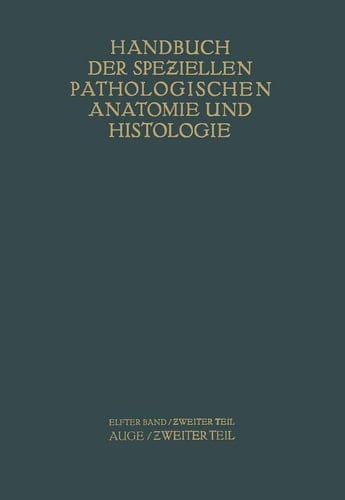 Auge Zweiter Teil