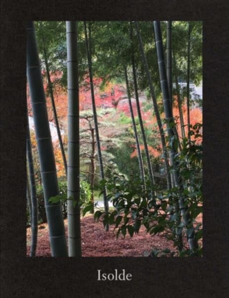 Isolde - Elizabeth Peyton Sadie Coles HQ, London, 14 January-20 February 2016