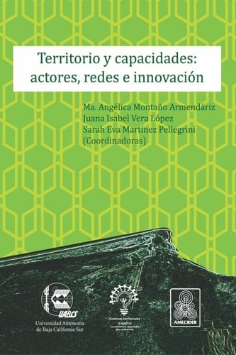 Territorio y capacidades: actores, redes e innovación (Spanish Edition)
