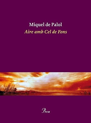 Aire amb Cel de Fons