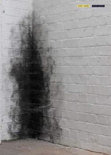 Anish Kapoor Dirty Corner