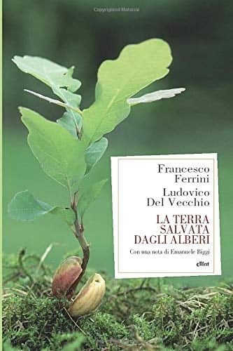 La terra salvata dagli alberi