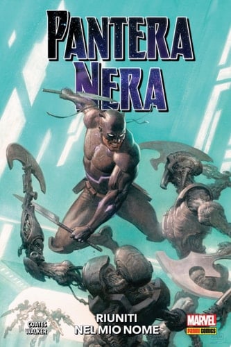 Pantera Nera (2018) 2 Riuniti nel mio nome