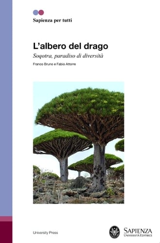 L’albero del drago Soqotra, paradiso di diversità